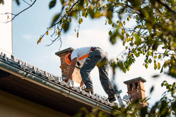Roof Gutter Cleaning in Linden, AL