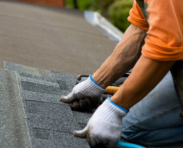 Best Roof Gutter Cleaning  in Linden, AL