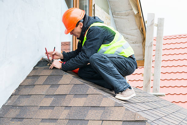Best Roof Gutter Cleaning  in Linden, AL