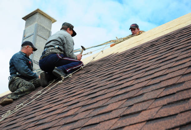 Best New Roof Installation  in Linden, AL